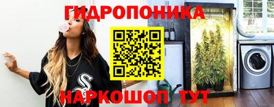 скорость Жуковский