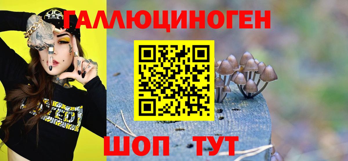 где продают наркотики  Галлюциногенные грибы Psilocybine cubensis  Вход с VPN  Гагарин 